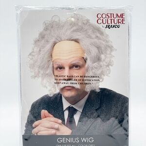 Costume Culture Genius Grey Wig